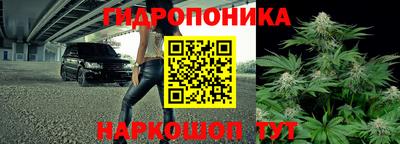 марки lsd Лесосибирск