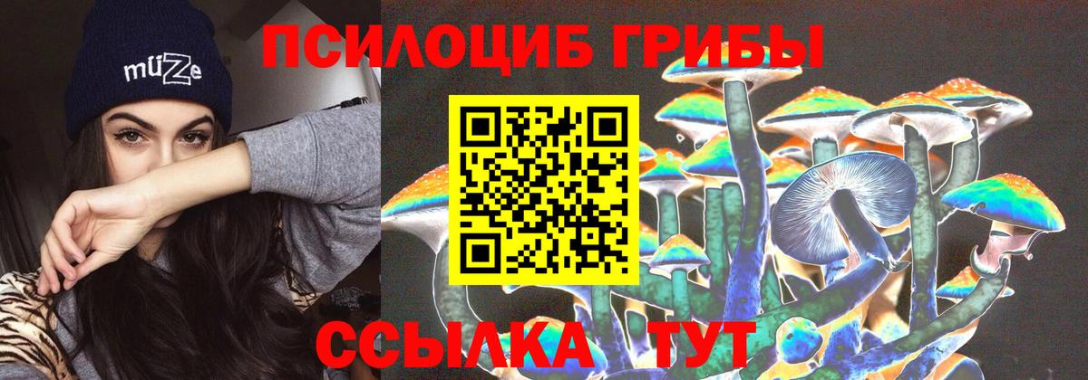 Псилоцибиновые грибы мухоморы  Вход с VPN  Зерноград 