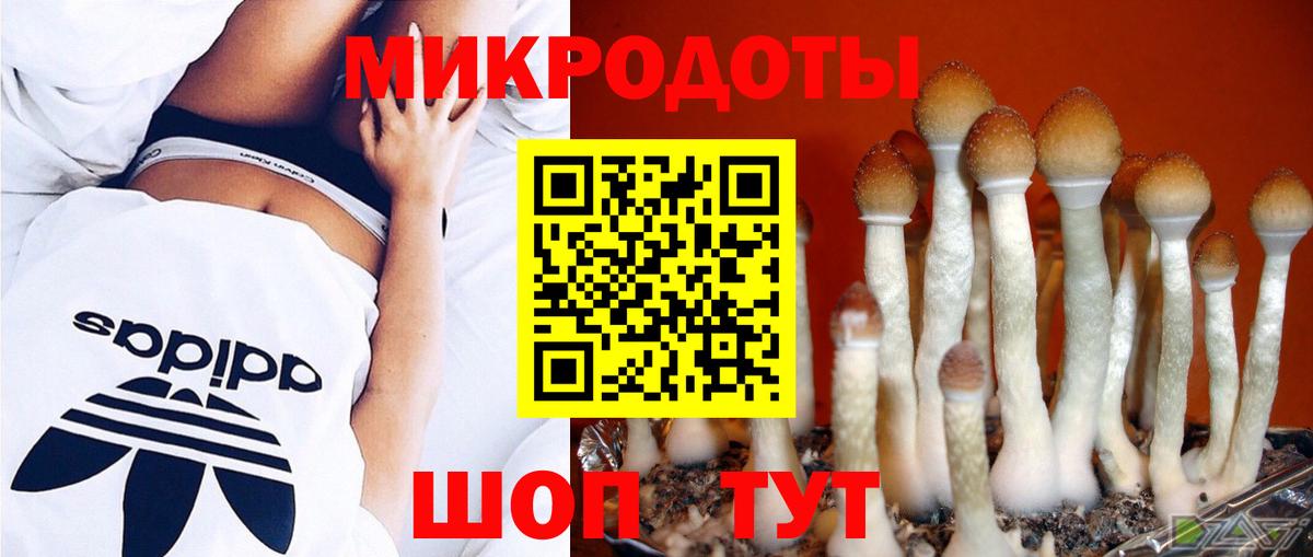 Галлюциногенные грибы мицелий Зерноград